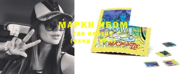 хмурый Михайловск