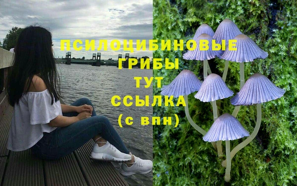 хмурый Михайловск