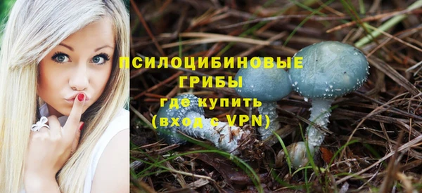 хмурый Михайловск