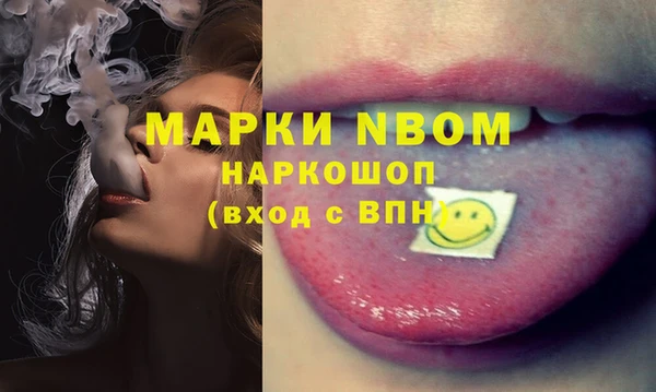 хмурый Михайловск